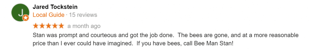 Bee Removal Orlando