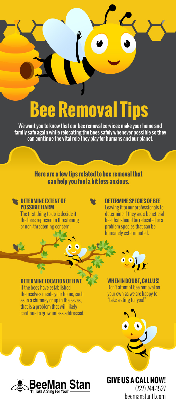Bee Removal Tips [infographic]