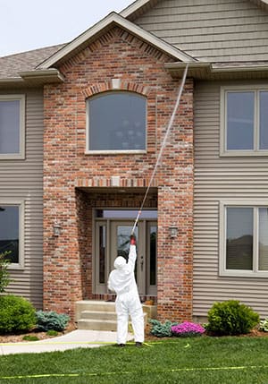 Pest Services in Brandon, Florida