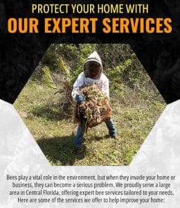 Protect Your Home with Our Expert Services [infographic]