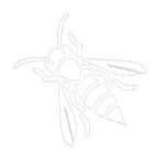Wasp Removal