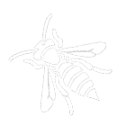 Yellow Jacket Removal